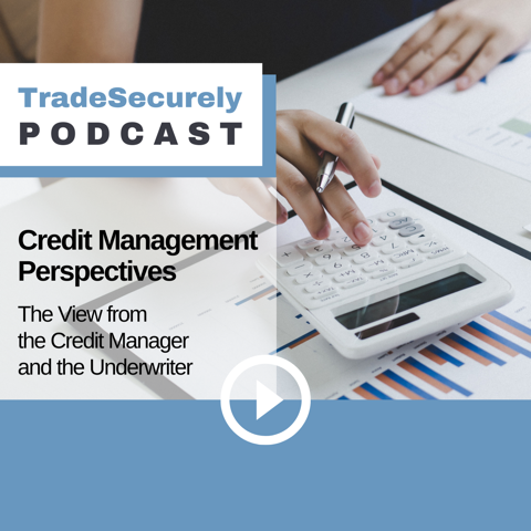 Episode 23: Credit Management Perspectives