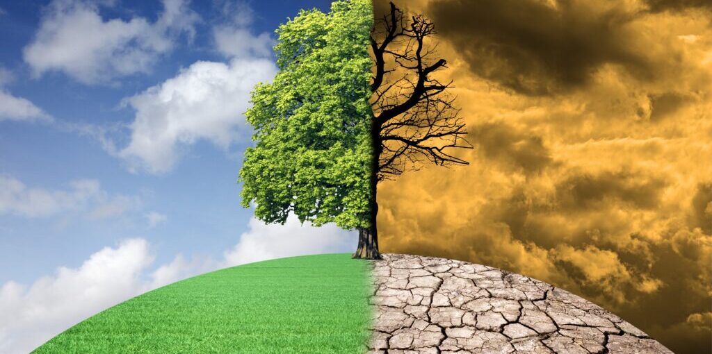 Climate risk management: Three steps to optimized long-term strategies